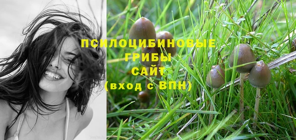 бошки Белокуриха