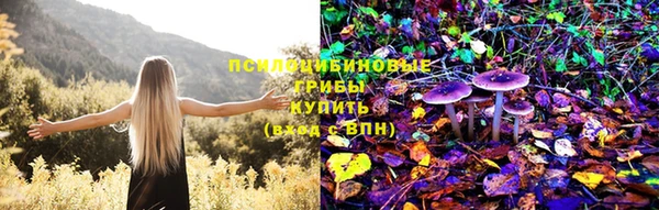 бошки Белокуриха