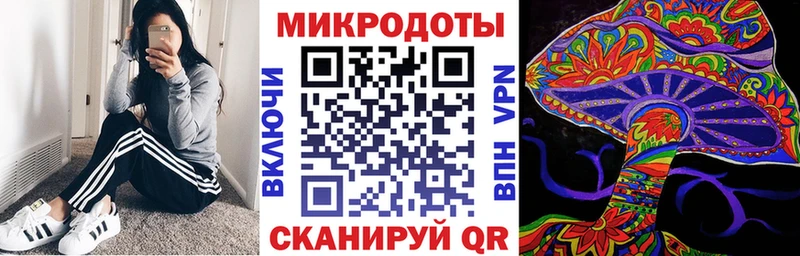 хочу Бородино Псилоцибиновые грибы ЛСД