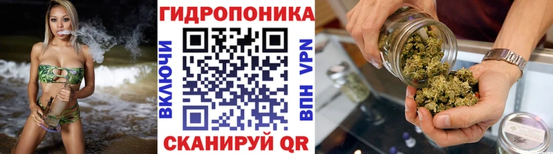 hydra ссылка  Бородино  Каннабис семена 